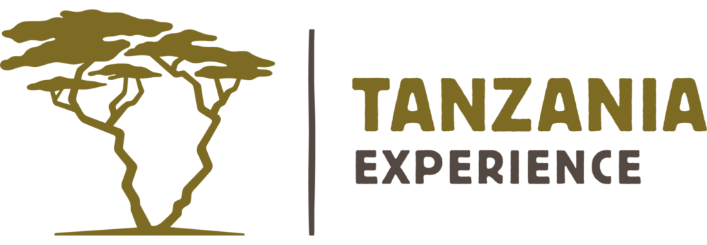 Tanzania Experience safari booking web platform